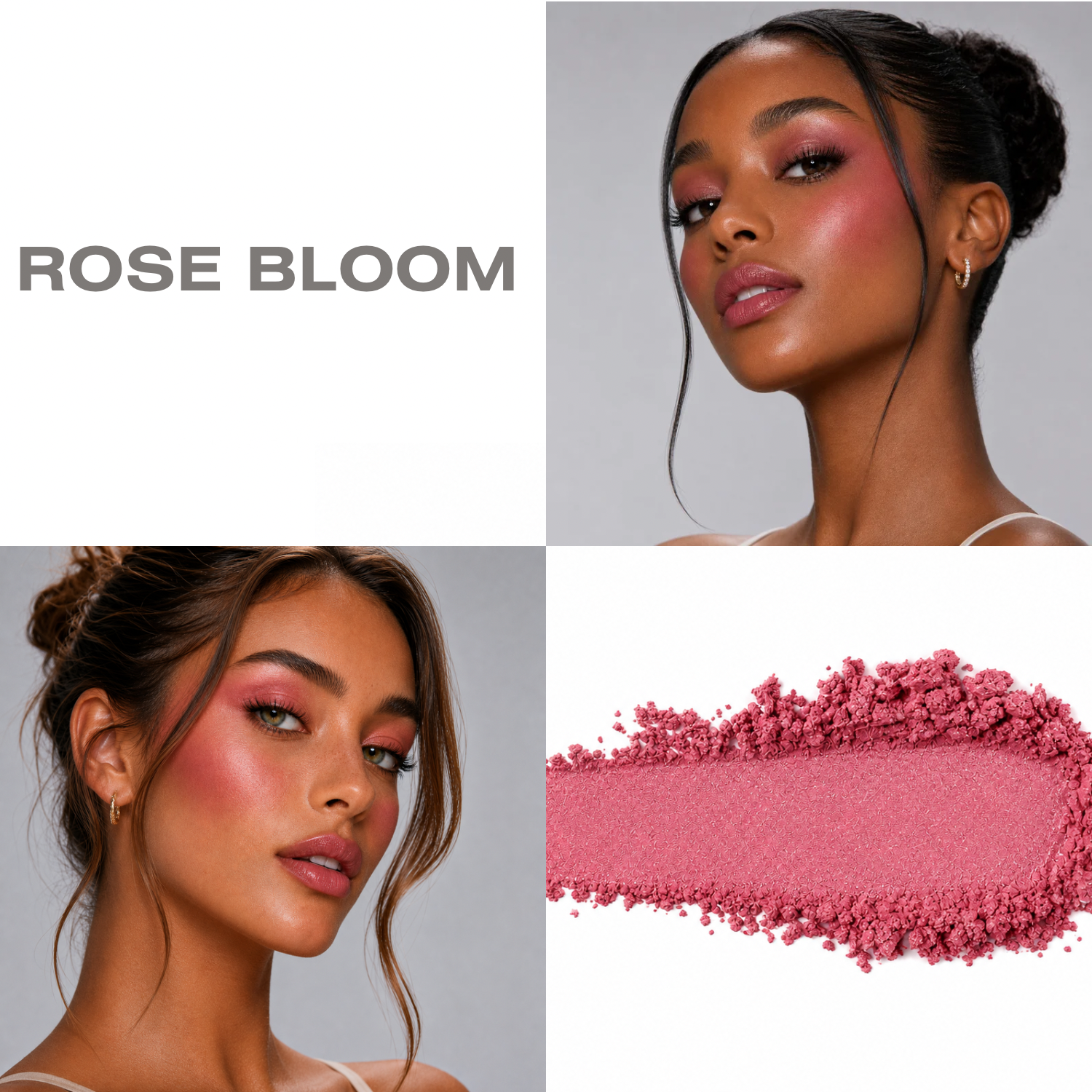 Rose Bloom